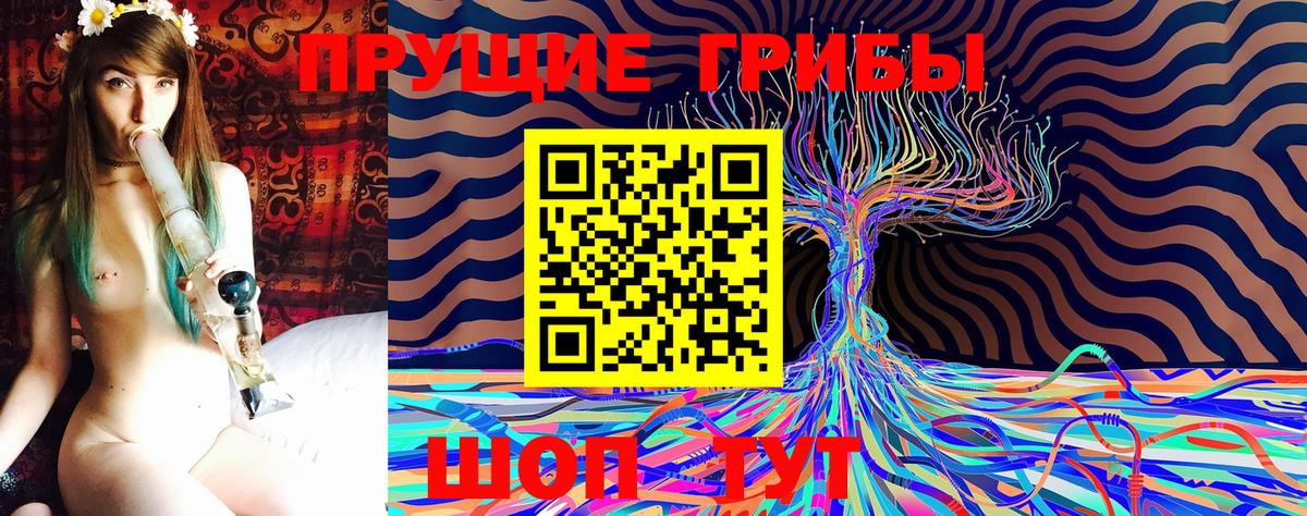 Санкт-Петербург  Галлюциногенные грибы MAGIC MUSHROOMS  купить наркотик  Вход с VPN 