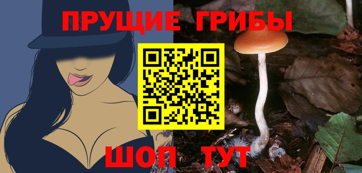 Галлюциногенные грибы прущие грибы Санкт-Петербург